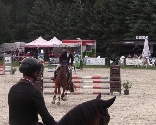 Reitturnier Pietzpuhl 2024
