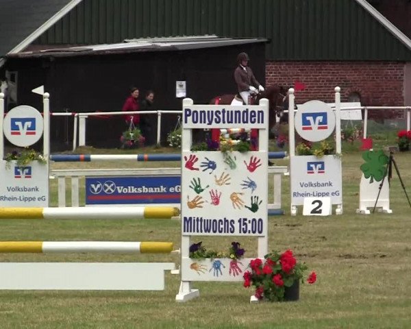 Reit- und Springturnier am 15.-16.06.2013 in Hamminkeln-Dingden