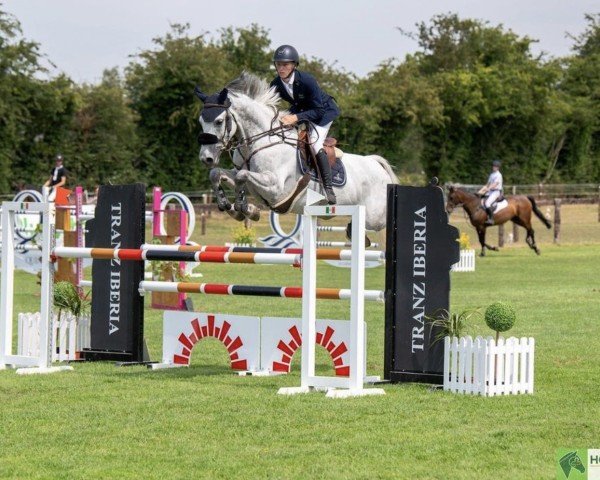 jumper AVM Django (Irish Sport Horse, 2016, from Cornet Obolensky)