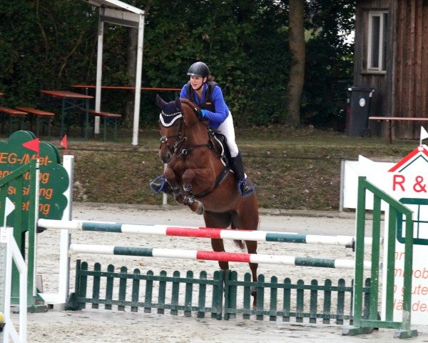 jumper Girlywood (German Sport Horse, 2015, from Sandokan 290)