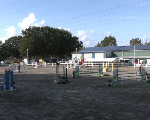 Reitturnier Springturnier Mildstedt 2024