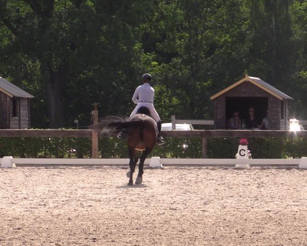 Reitturnier Müncheberg 2024