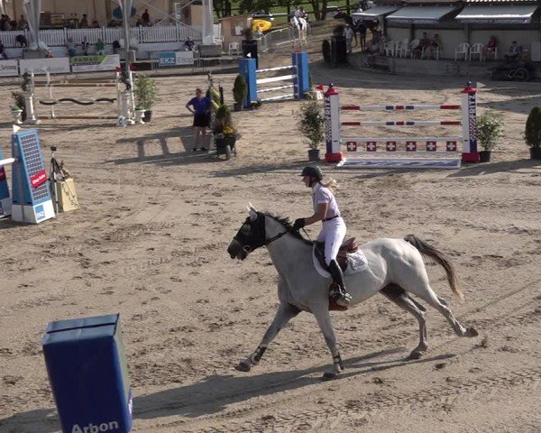 Reitturnier Humlikon 2024