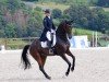 dressage horse Charlie Brown Superstar (KWPN (Royal Dutch Sporthorse), 2012, from Chippendale)