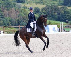 dressage horse Charlie Brown Superstar (KWPN (Royal Dutch Sporthorse), 2012, from Chippendale)