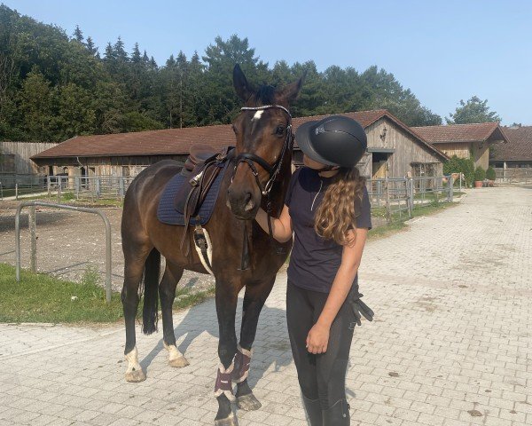 dressage horse Freaky Friday Eb (Hanoverian, 2017, from For Romance I)