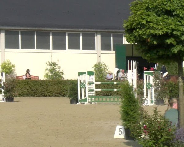 Reitturnier St.Wendel, Gestüt Welvert 2024