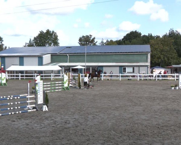 Reitturnier Springturnier Mildstedt 2024