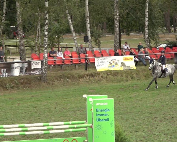 Reitturnier Dannenberg 2024