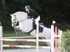 jumper Max Prince (Connemara Pony, 2013, from Shannon Prince)