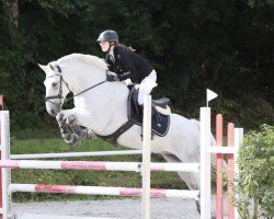 jumper Max Prince (Connemara Pony, 2013, from Shannon Prince)