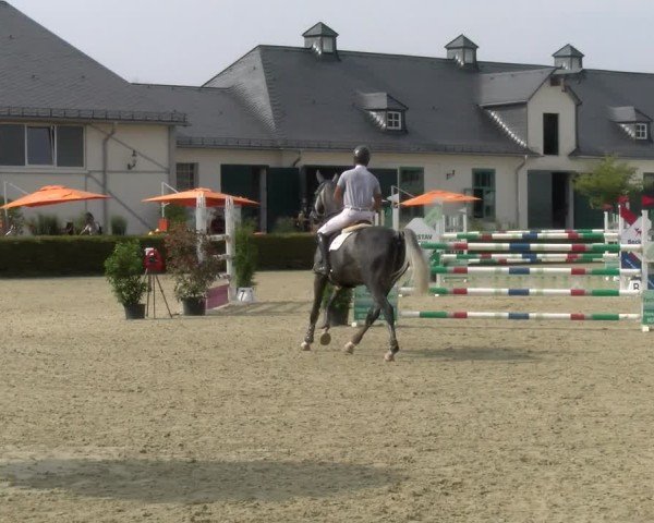 Reitturnier St.Wendel, Gestüt Welvert 2024