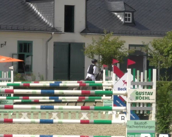 Reitturnier St.Wendel, Gestüt Welvert 2024
