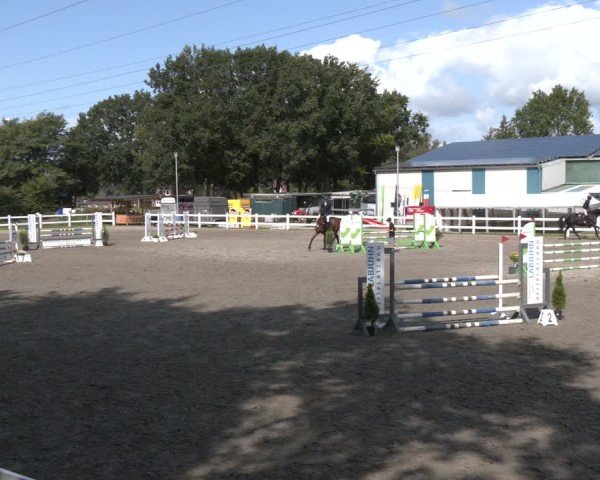 Reitturnier Springturnier Mildstedt 2024
