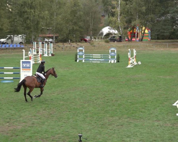 Reitturnier Dannenberg 2024