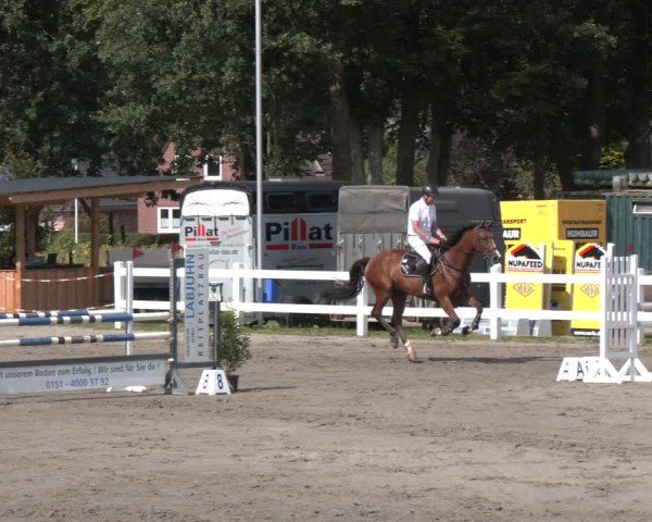 Reitturnier Springturnier Mildstedt 2024