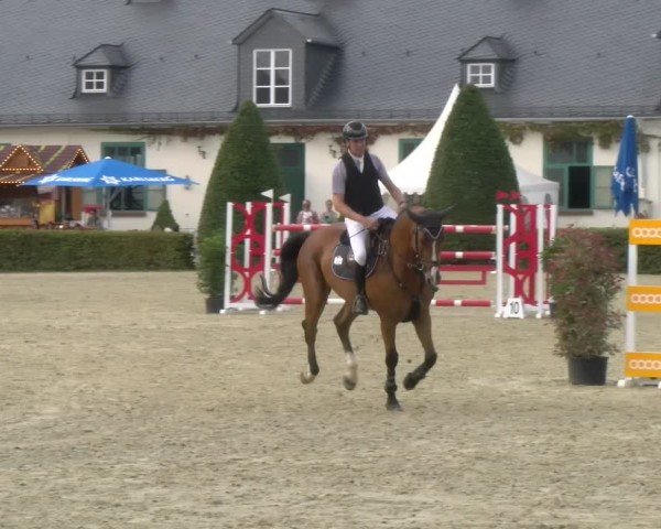 Reitturnier St.Wendel, Gestüt Welvert 2024