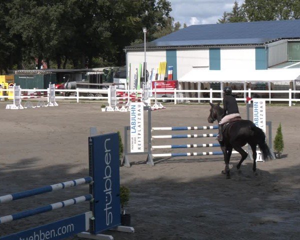 Reitturnier Springturnier Mildstedt 2024