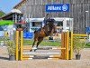 jumper Lacore Bs (German Sport Horse, 2020, from Larimar)