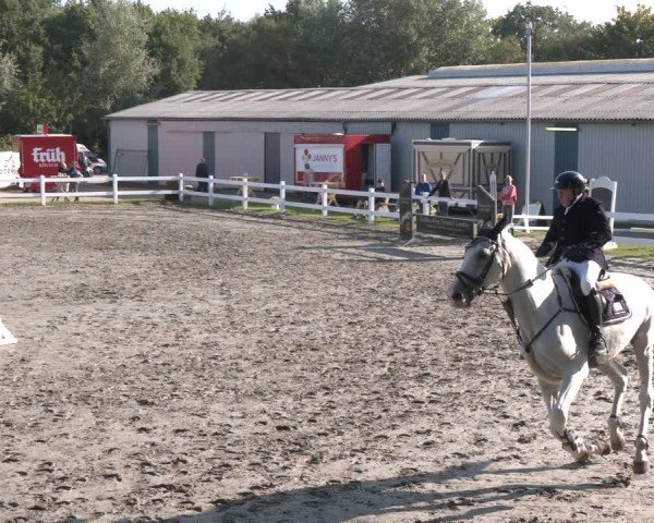 Reitturnier Springturnier Mildstedt 2024