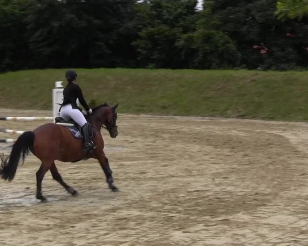 Fröndenberg 2013