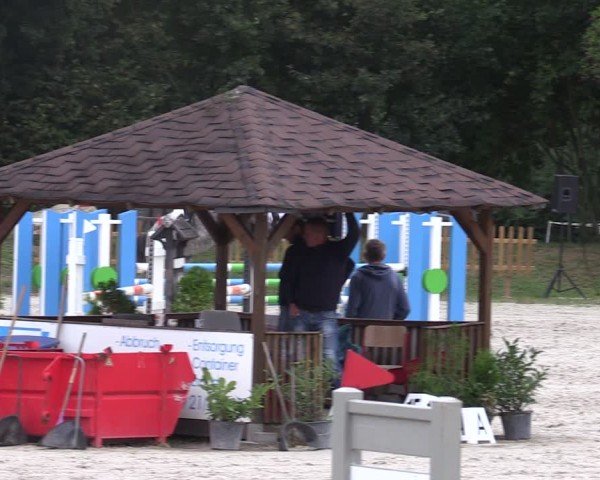 Reitturnier Pietzpuhl 2024