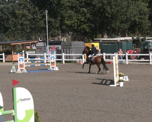 Reitturnier Springturnier Mildstedt 2024