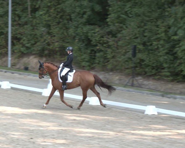 Reitturnier Köln-Flittard (Scheuerhof) 2024