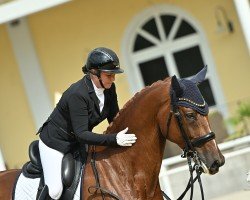 dressage horse Rich and Royal (Oldenburg, 2017, from Asgard's Ibiza)