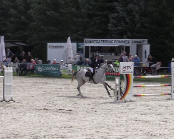 Reitturnier Pietzpuhl 2024