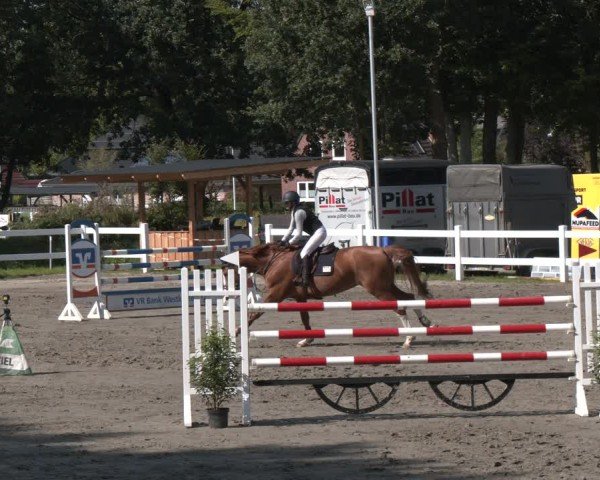 Reitturnier Springturnier Mildstedt 2024