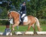 dressage horse Balisto (Haflinger, 2017, from Belando)