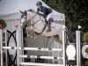 broodmare I'm Amelie (Oldenburg show jumper, 2018, from I'm Special de Muze)