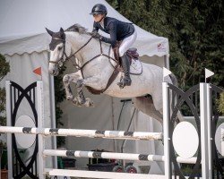 broodmare I'm Amelie (Oldenburg show jumper, 2018, from I'm Special de Muze)