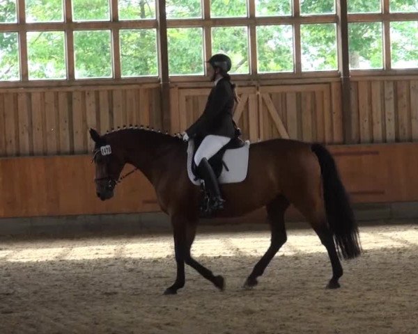 Fröndenberg 2013