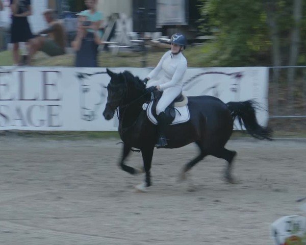 Reitturnier Köln-Flittard (Scheuerhof) 2024