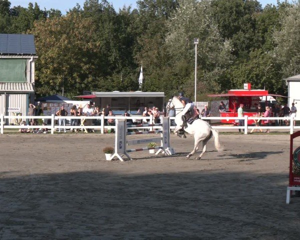 Reitturnier Springturnier Mildstedt 2024