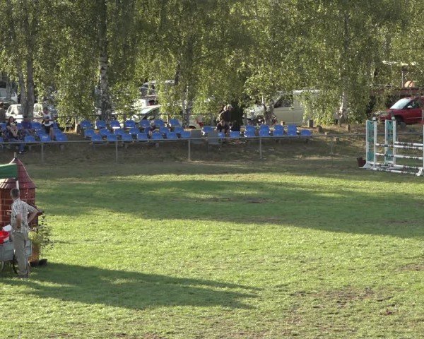 Reitturnier Dannenberg 2024