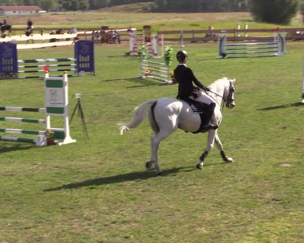 Reitturnier Pinnow 2024