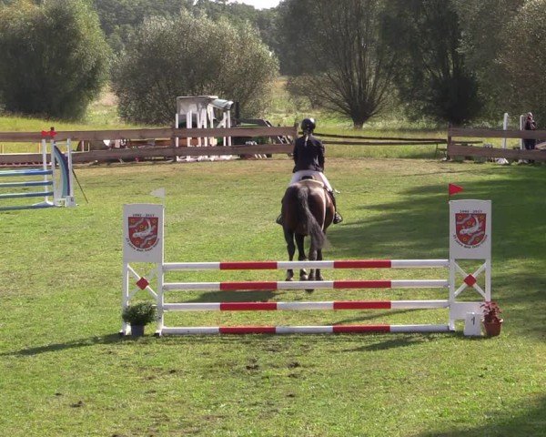 Reitturnier Pinnow 2024