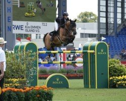 jumper Island V G (KWPN (Royal Dutch Sporthorse), 2013, from Zirocco Blue)