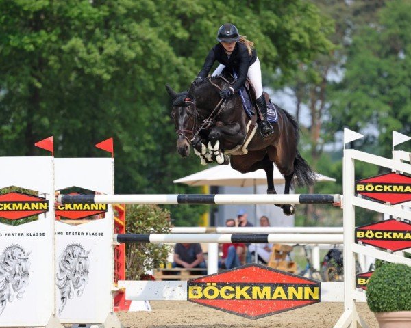 jumper Flying Kiss 3 (Oldenburg show jumper, 2017, from Kannan)