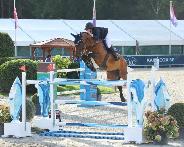 jumper J'Adore Ter Putte (Belgian Warmblood, 2009, from Caspar (Berlin))