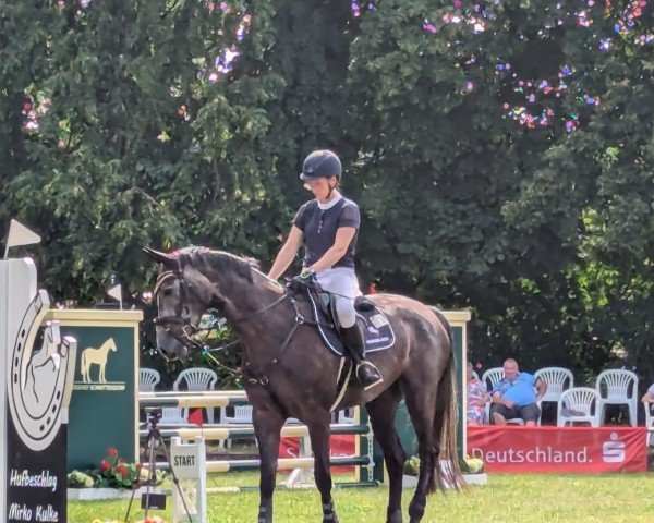 Pferd Caramba Blue (Deutsches Sportpferd, 2020, von Colman)