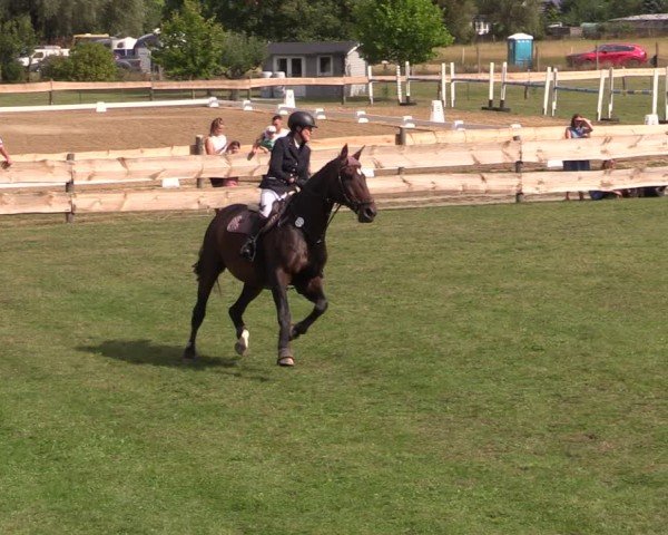Reitturnier Pinnow 2024