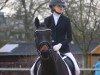 dressage horse Ferina (Hanoverian, 2010, from Fidertanz)