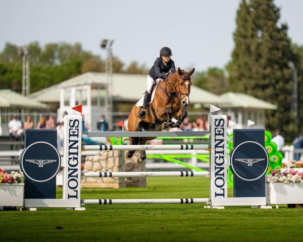 jumper Irivola del Maset (Spanish Sport Horse, 2015, from Indret del Masset)