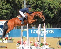 jumper Dalia del Maset (Spanish Sport Horse, 2017, from Diamant de Semilly)