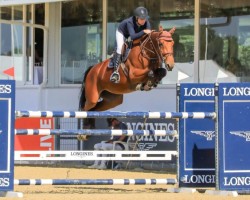 Springpferd Dalia del Maset (Spanisches Sportpferd, 2017, von Diamant de Semilly)