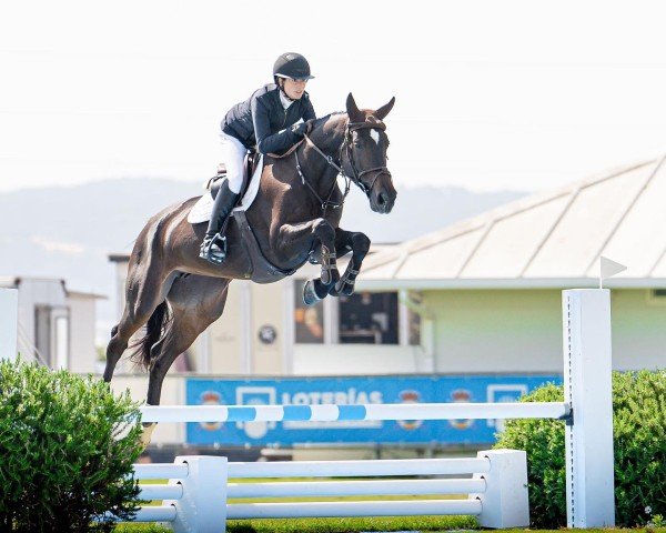 Springpferd Elba del Maset (Spanisches Sportpferd, 2016, von Eilan del Maset)